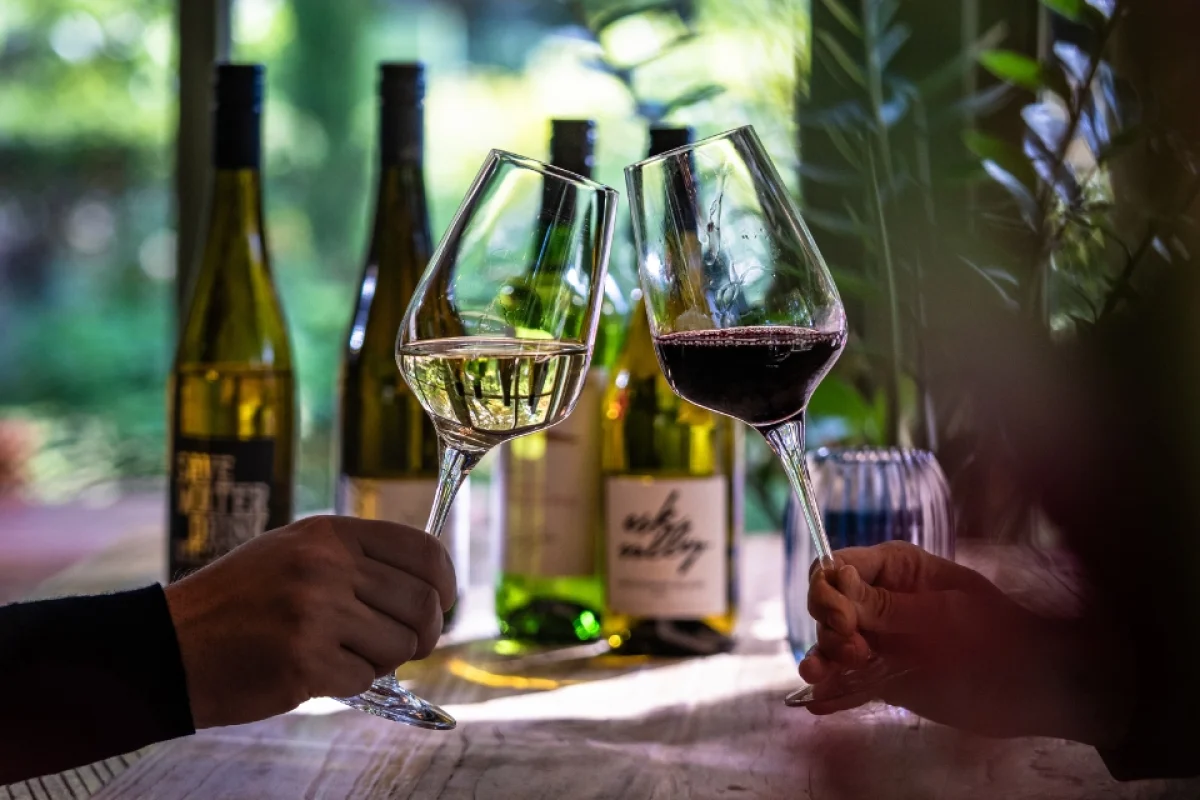 2-wijn-glazen-proosten